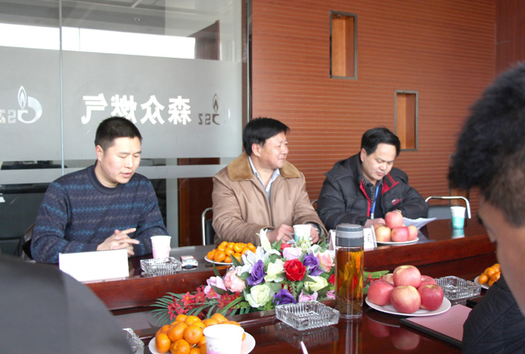 林口县政府与合肥朱朋文化创意设计有限公司燃气项目洽谈.png